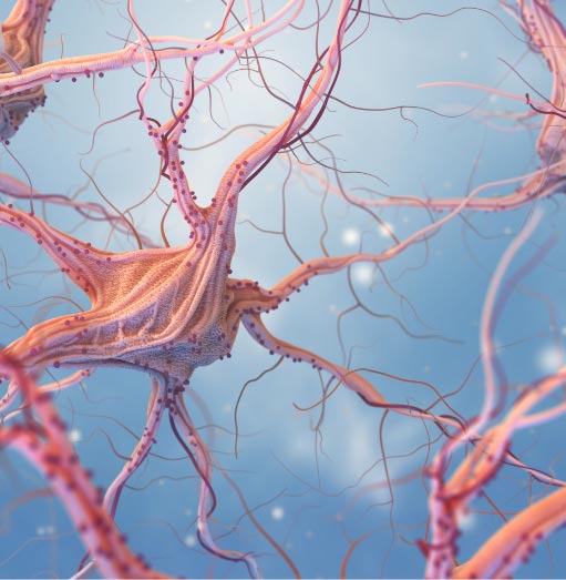How To Rewire Your Brain After Trauma at Burton Hugh blog
